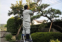 ���J�ɒ�؂𙒒蒆