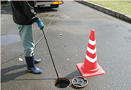 �������ɂ��ǂ̓����𐴑|��