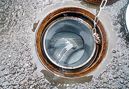 �ؗ���������ꂪ�X�b�L���I