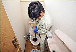 ���ނ������̃g���u���ɂ̓��o�[�J�b�v���L���ł�