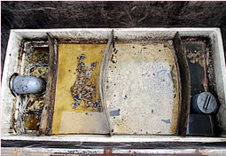 �O���[�X�g���b�v���ɗ��܂�������