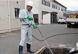 �������ŉ��ꂽ�O���[�X�g���b�v������􂢗����܂�