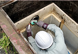 ���ƂŒ��J�ɐ��|���܂�